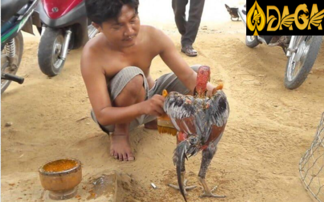 vần hơi gà bằng tay