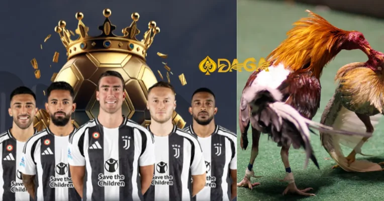 Đá gà cựa sắt: Trải nghiệm kịch tính và hấp dẫn trực tuyến 🐔🔥