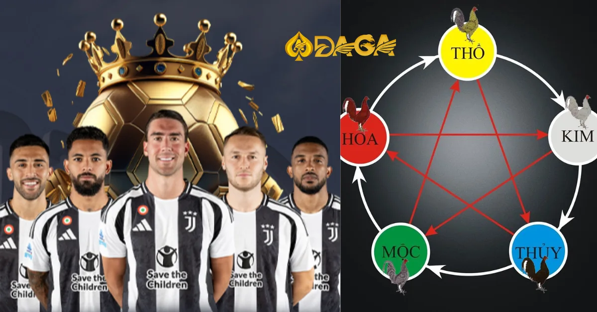 Màu mạng đá gà theo ngày: Bí quyết chọn màu gà hợp phong thủy