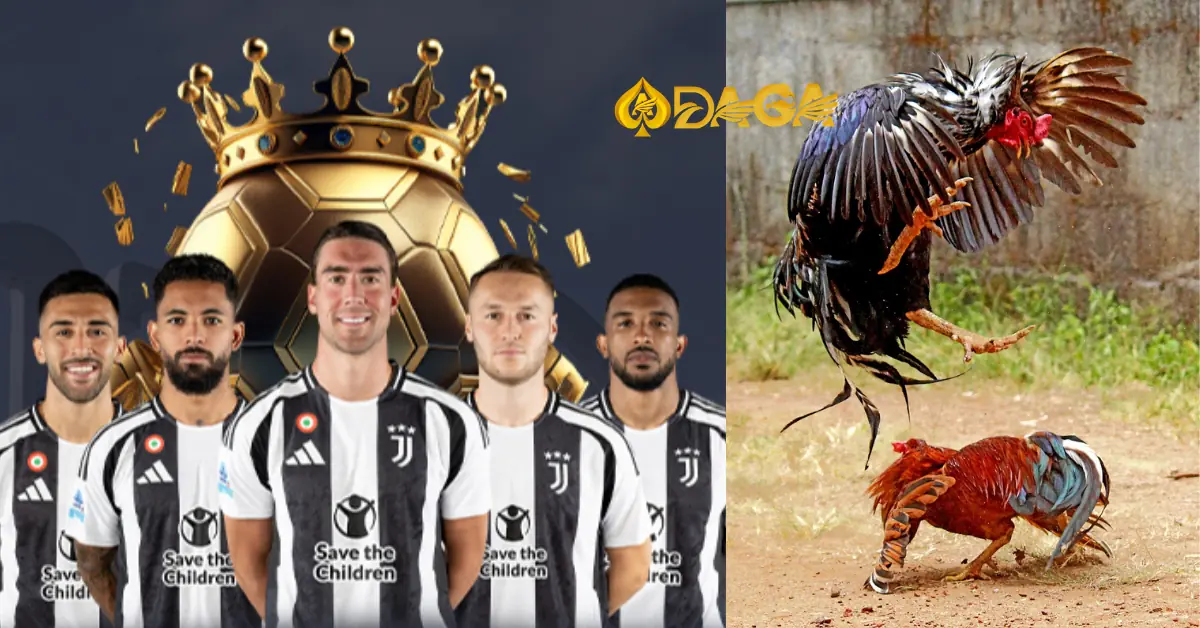 Xem ngày tốt để đi đá gà như thế nào, có quan trọng không?