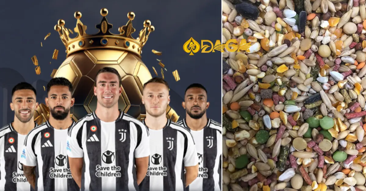 Ngũ cốc cho gà đá là gì? Các công thức ngũ cốc cơ bản