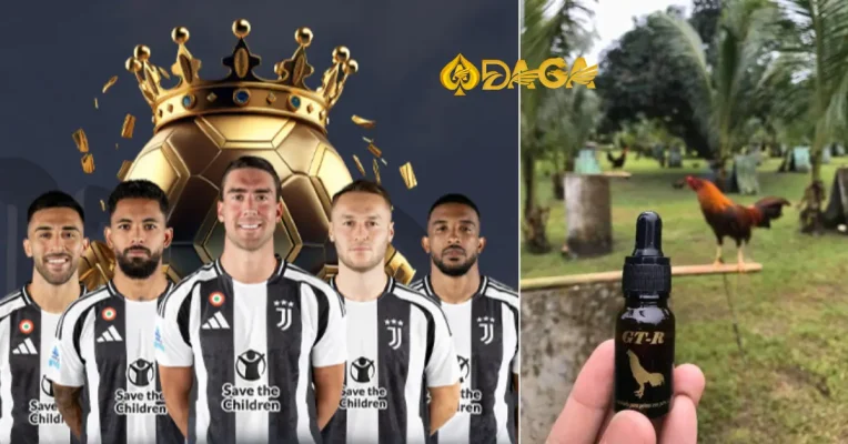 Thuốc Nhỏ Gà Đá Có Lợi Ích Gì? Sai Lầm Dễ Mắc Khi Dùng Thuốc Cho Gà