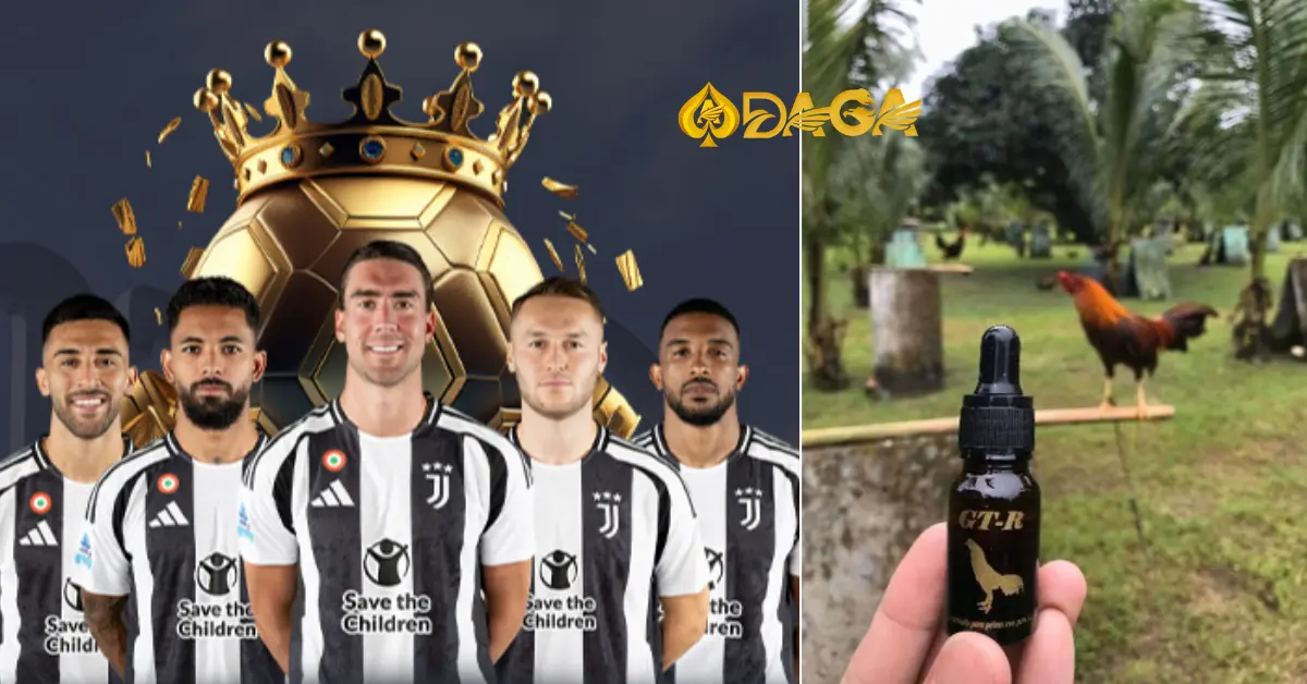 Thuốc Nhỏ Gà Đá Có Lợi Ích Gì? Sai Lầm Dễ Mắc Khi Dùng Thuốc Cho Gà